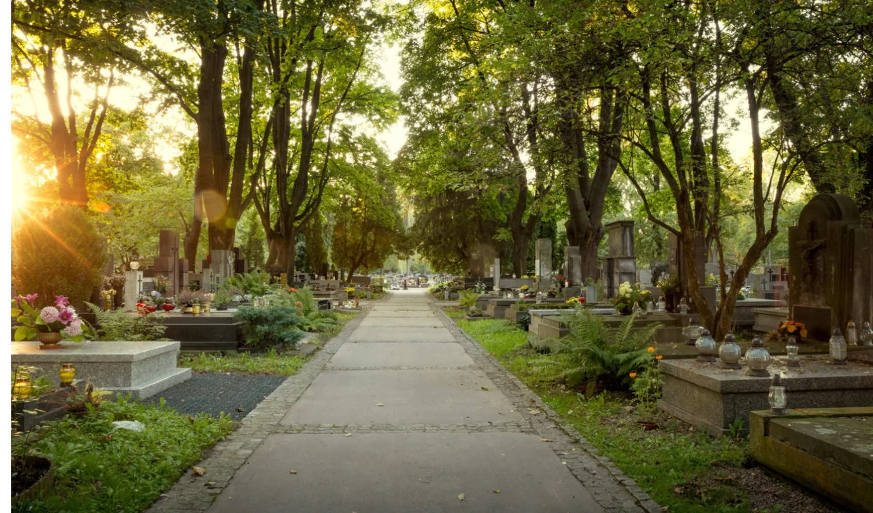 Wächter Bestattung Headerbild