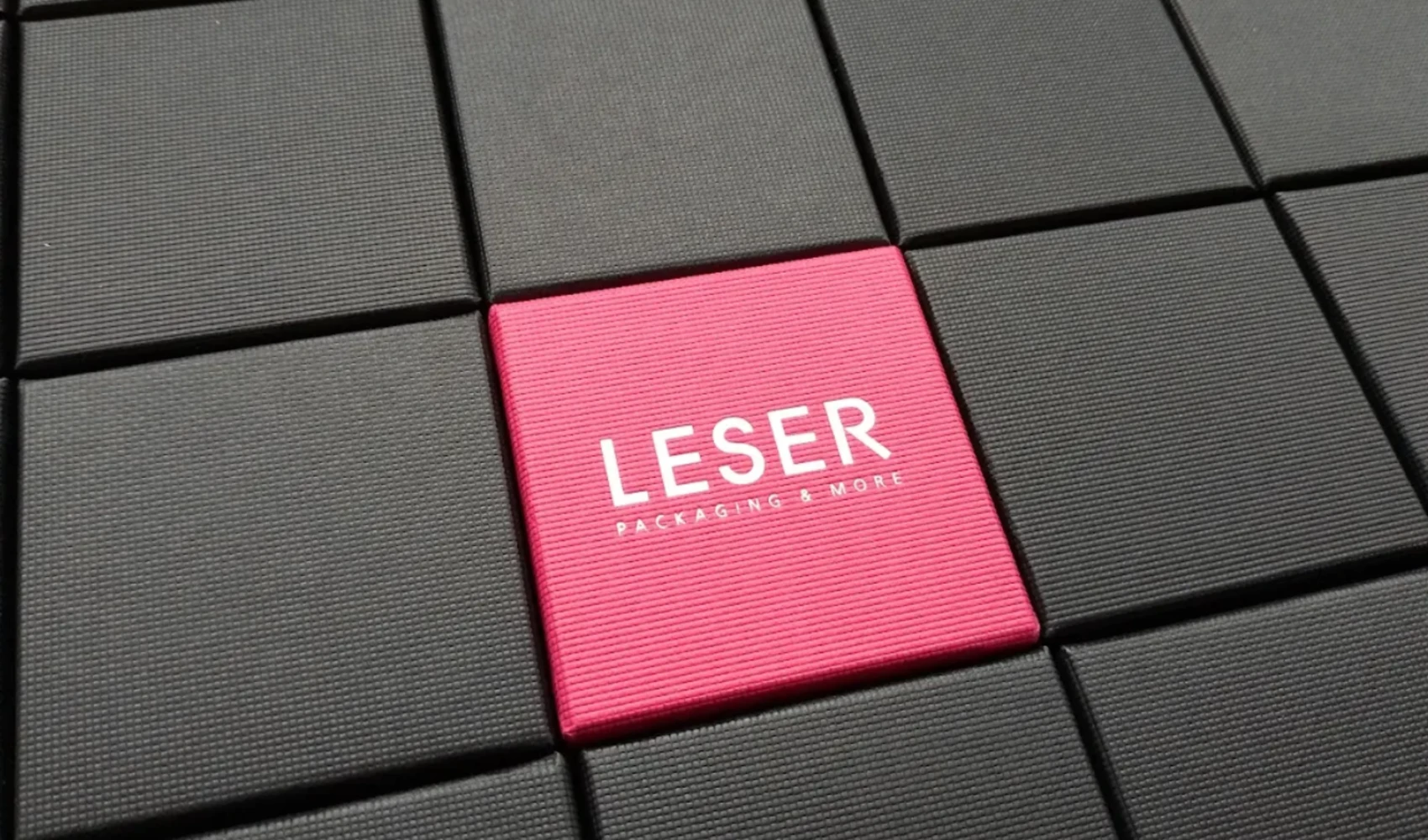 Leser GmbH Titelbild